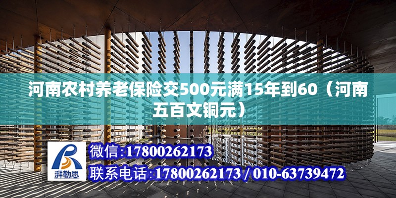 河南農村養老保險交500元滿15年到60（河南五百文銅元）