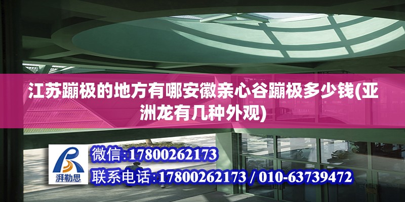 江蘇蹦極的地方有哪安徽親心谷蹦極多少錢(亞洲龍有幾種外觀)