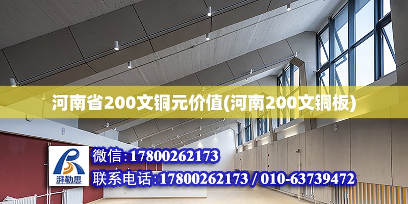 河南省200文銅元價值(河南200文銅板)