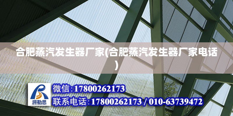 合肥蒸汽發生器廠家(合肥蒸汽發生器廠家電話) 結構工業裝備施工