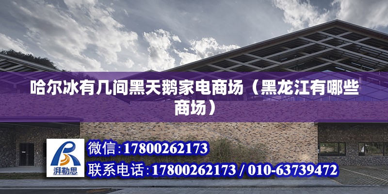 哈爾冰有幾間黑天鵝家電商場（黑龍江有哪些商場） 北京鋼結構設計