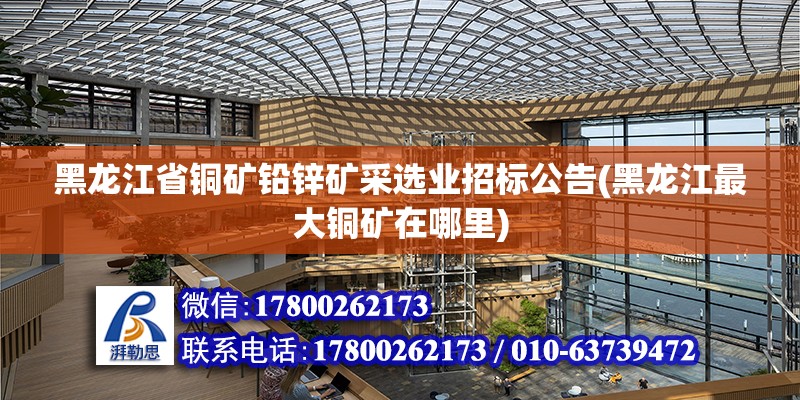 黑龍江省銅礦鉛鋅礦采選業招標公告(黑龍江最大銅礦在哪里) 建筑消防設計