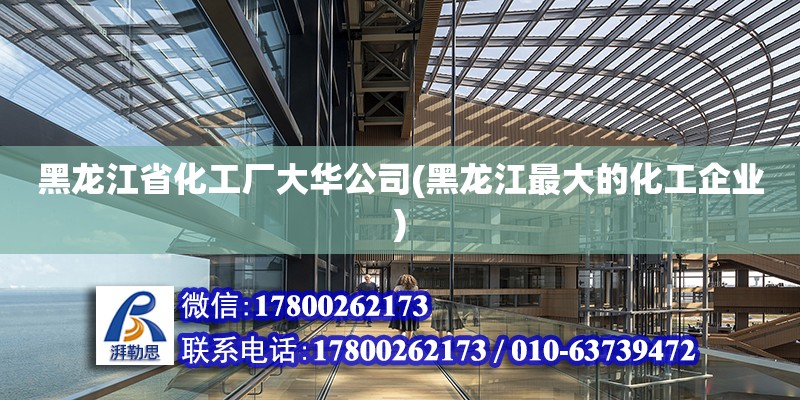 黑龍江省化工廠大華公司(黑龍江最大的化工企業) 結構工業裝備施工