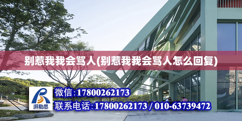 別惹我我會罵人(別惹我我會罵人怎么回復) 建筑方案設計