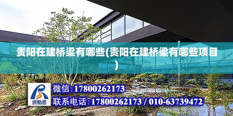 貴陽在建橋梁有哪些(貴陽在建橋梁有哪些項目) 鋼結構蹦極施工