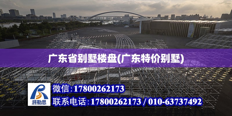 廣東省別墅樓盤(廣東特價別墅) 結構污水處理池施工