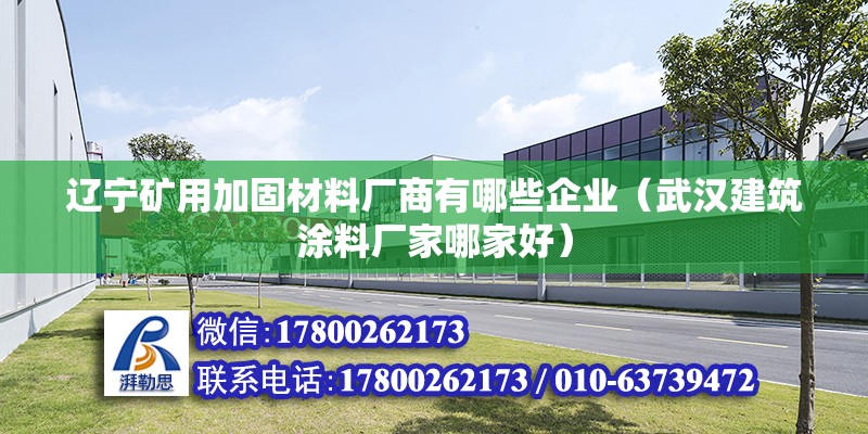 遼寧礦用加固材料廠商有哪些企業（武漢建筑涂料廠家哪家好） 鋼結構玻璃棧道施工