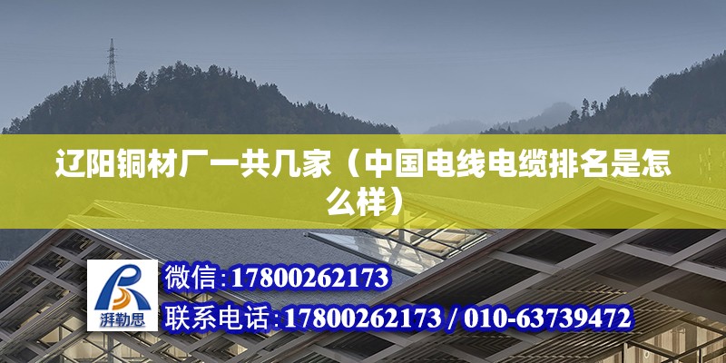 遼陽銅材廠一共幾家（中國電線電纜排名是怎么樣）