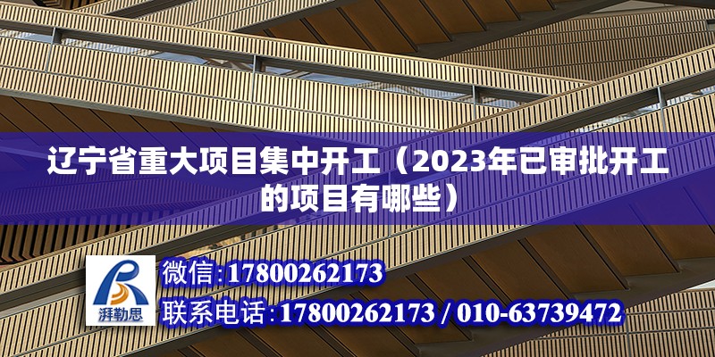 遼寧省重大項目集中開工（2023年已審批開工的項目有哪些） 建筑施工圖施工