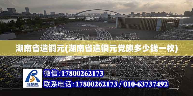 湖南省造銅元(湖南省造銅元黨旗多少錢一枚) 鋼結構網架設計