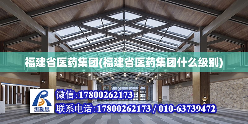 福建省醫藥集團(福建省醫藥集團什么級別) 鋼結構網架施工