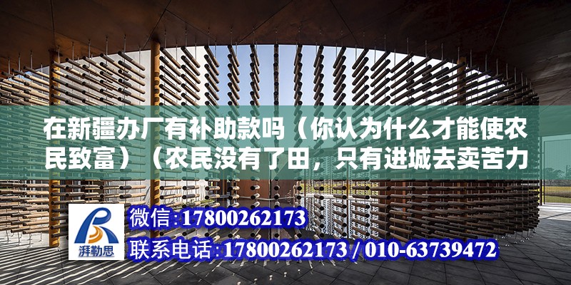 在新疆辦廠有補助款嗎（你認為什么才能使農民致富）（農民沒有了田，只有進城去賣苦力） 結構框架設計