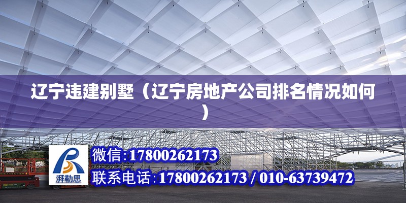 遼寧違建別墅（遼寧房地產公司排名情況如何）