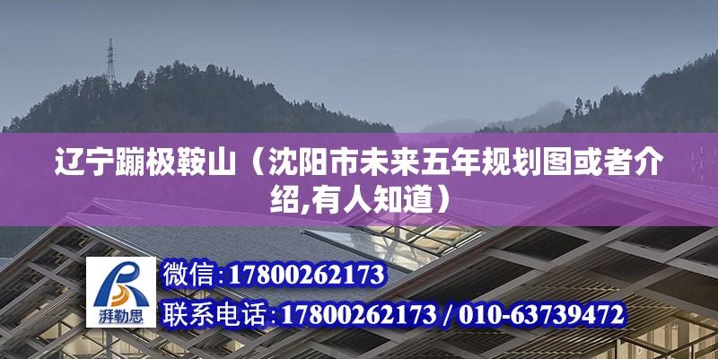 遼寧蹦極鞍山（沈陽市未來五年規劃圖或者介紹,有人知道）