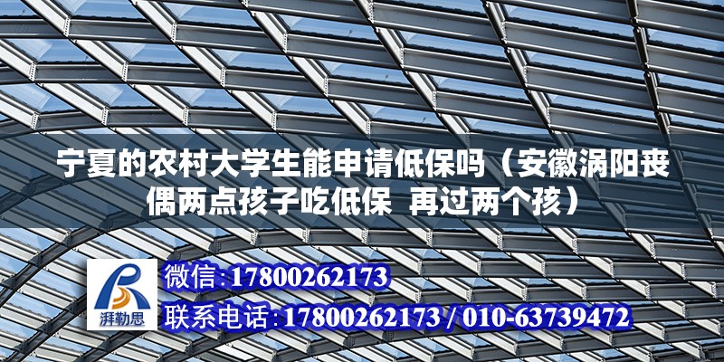 寧夏的農村大學生能申請低保嗎（安徽渦陽喪偶兩點孩子吃低保  再過兩個孩） 全國鋼結構廠