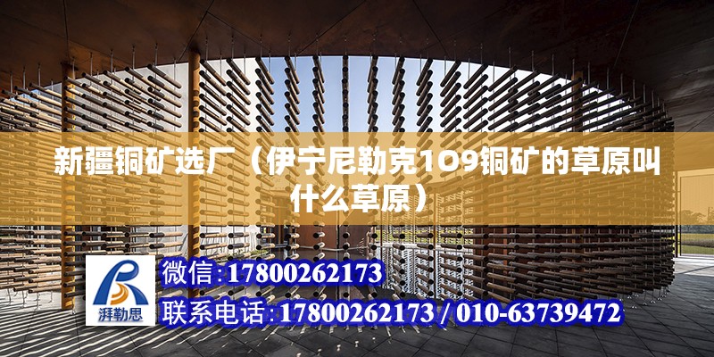 新疆銅礦選廠（伊寧尼勒克1O9銅礦的草原叫什么草原） 北京鋼結構設計