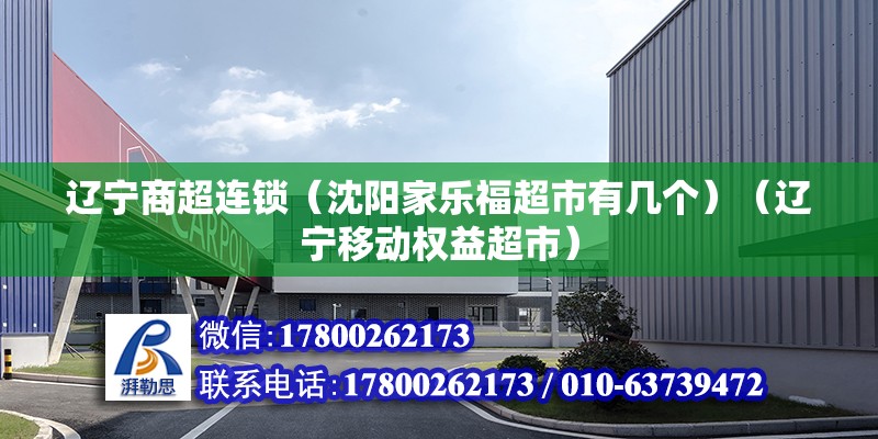 遼寧商超連鎖（沈陽家樂福超市有幾個）（遼寧移動權益超市） 鋼結構異形設計