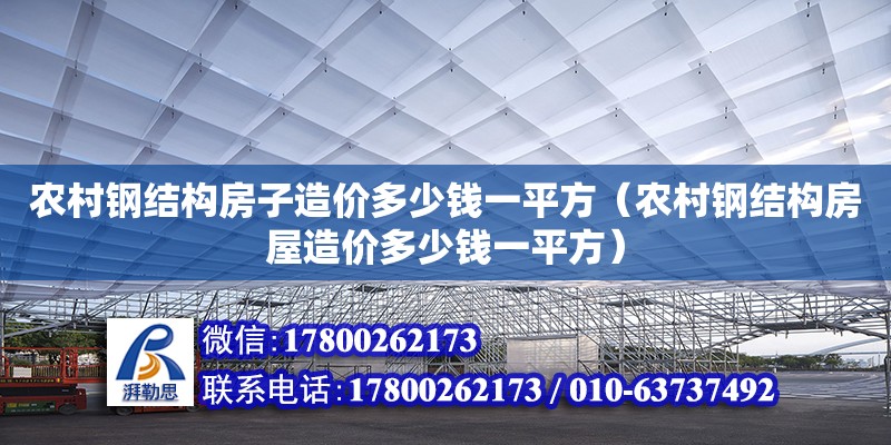 農村鋼結構房子造價多少錢一平方（農村鋼結構房屋造價多少錢一平方）