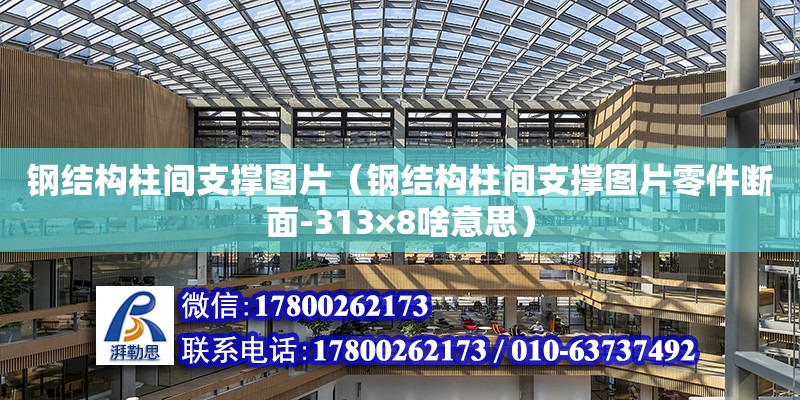 鋼結構柱間支撐圖片（鋼結構柱間支撐圖片零件斷面-313×8啥意思）