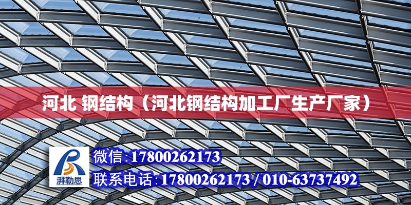 河北 鋼結構（河北鋼結構加工廠生產廠家） 鋼結構網架設計