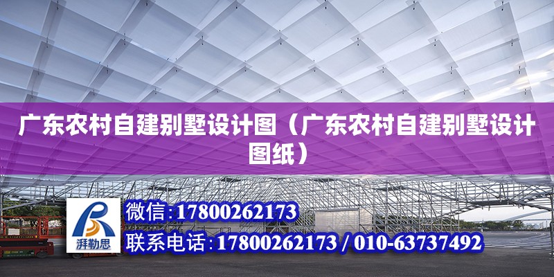 廣東農村自建別墅設計圖（廣東農村自建別墅設計圖紙）