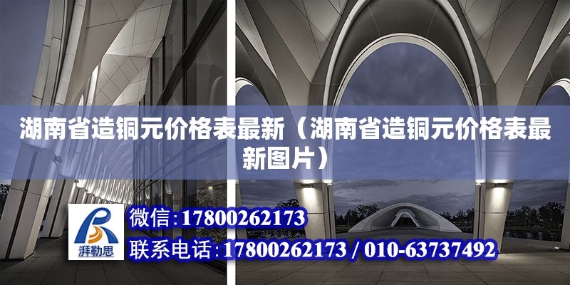 湖南省造銅元價格表最新（湖南省造銅元價格表最新圖片）