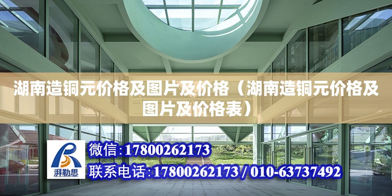 湖南造銅元價格及圖片及價格（湖南造銅元價格及圖片及價格表）