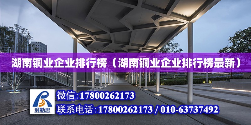 湖南銅業企業排行榜（湖南銅業企業排行榜最新） 鋼結構網架設計