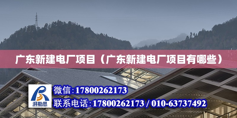 廣東新建電廠項目（廣東新建電廠項目有哪些）