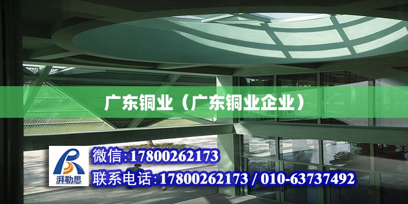 廣東銅業（廣東銅業企業） 鋼結構網架設計