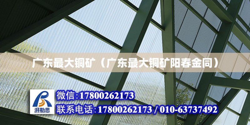 廣東最大銅礦（廣東最大銅礦陽春金同） 鋼結構網架設計