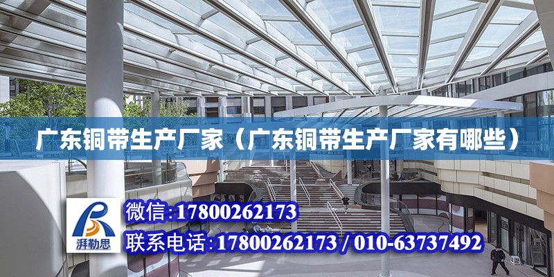 廣東銅帶生產廠家（廣東銅帶生產廠家有哪些） 鋼結構網架設計