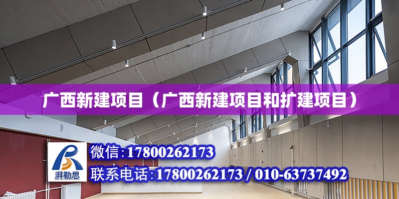 廣西新建項目（廣西新建項目和擴建項目） 鋼結構網架設計