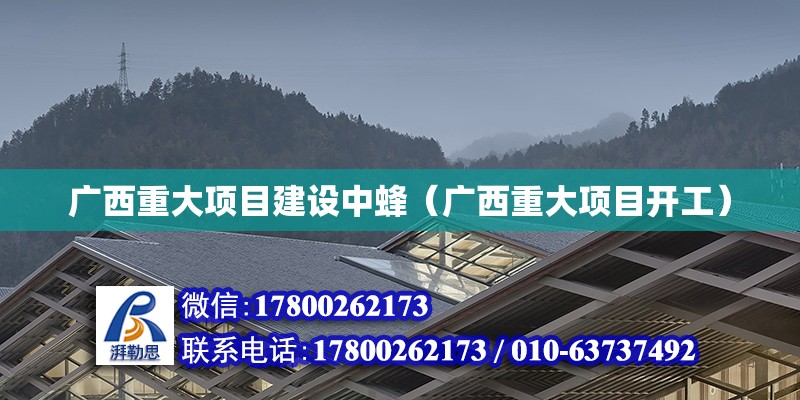 廣西重大項目建設中蜂（廣西重大項目開工）