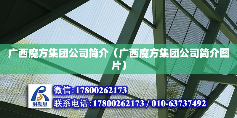 廣西魔方集團公司簡介（廣西魔方集團公司簡介圖片）