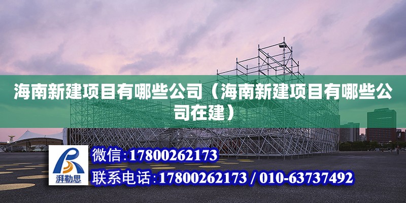 海南新建項目有哪些公司（海南新建項目有哪些公司在建）