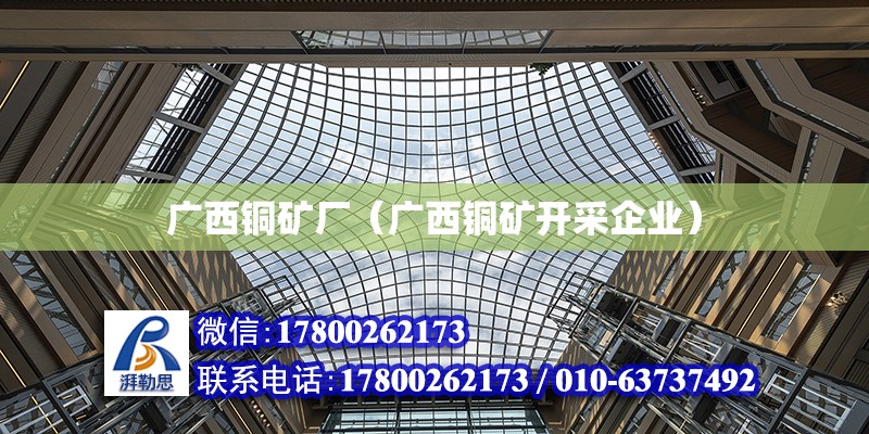 廣西銅礦廠（廣西銅礦開采企業）