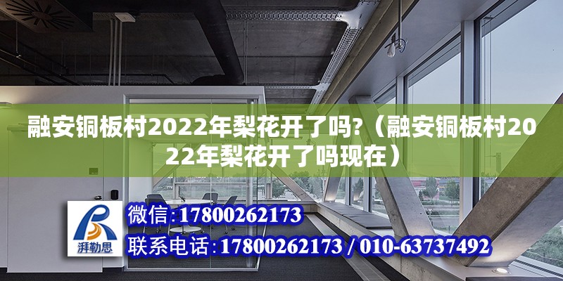 融安銅板村2022年梨花開了嗎?（融安銅板村2022年梨花開了嗎現在）