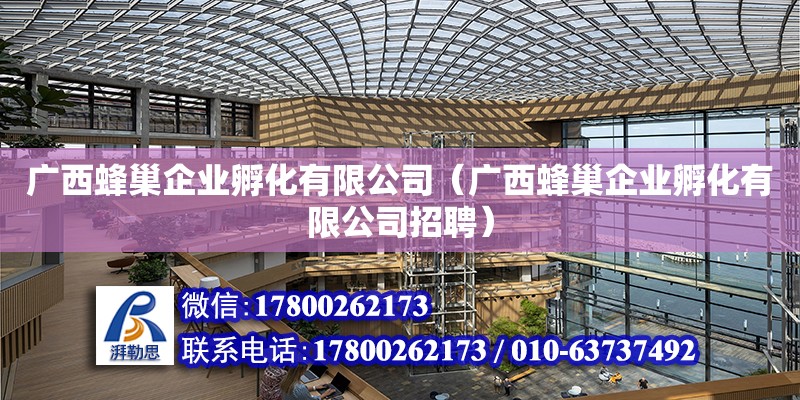 廣西蜂巢企業孵化有限公司（廣西蜂巢企業孵化有限公司招聘）