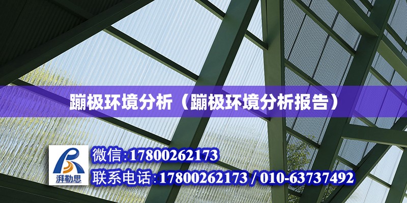 蹦極環境分析（蹦極環境分析報告） 鋼結構網架設計