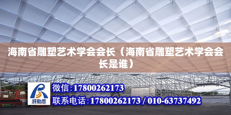 海南省雕塑藝術學會會長（海南省雕塑藝術學會會長是誰）