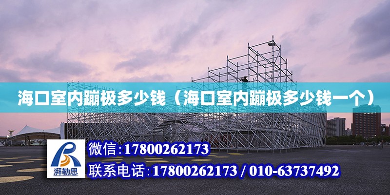 海口室內蹦極多少錢（?？谑覂缺臉O多少錢一個）