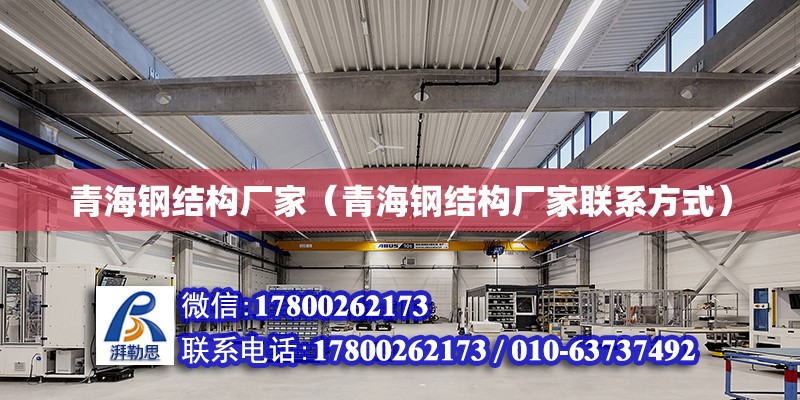 青海鋼結構廠家（青海鋼結構廠家**方式） 鋼結構跳臺施工