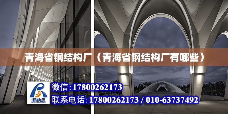 青海省鋼結構廠（青海省鋼結構廠有哪些） 鋼結構玻璃棧道設計