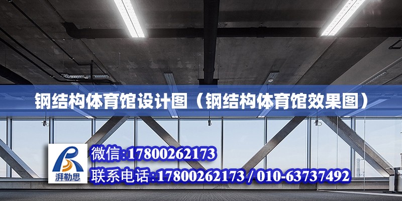 鋼結構體育館設計圖（鋼結構體育館效果圖） 結構工業鋼結構施工