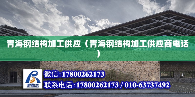 青海鋼結構加工供應（青海鋼結構加工供應商**） 鋼結構異形設計