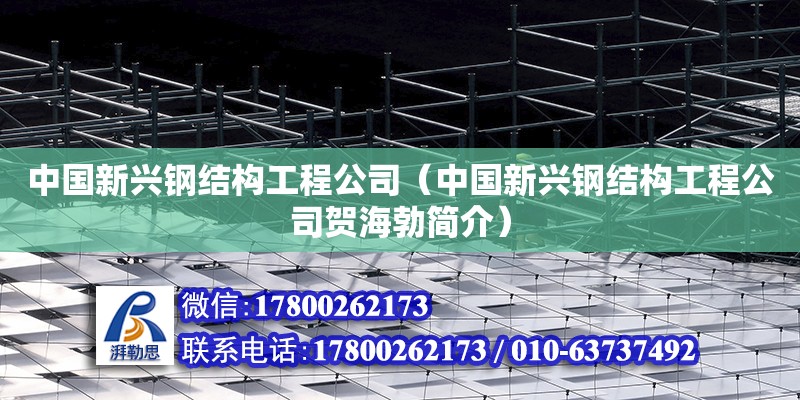 中國新興鋼結構工程公司（中國新興鋼結構工程公司賀海勃簡介）