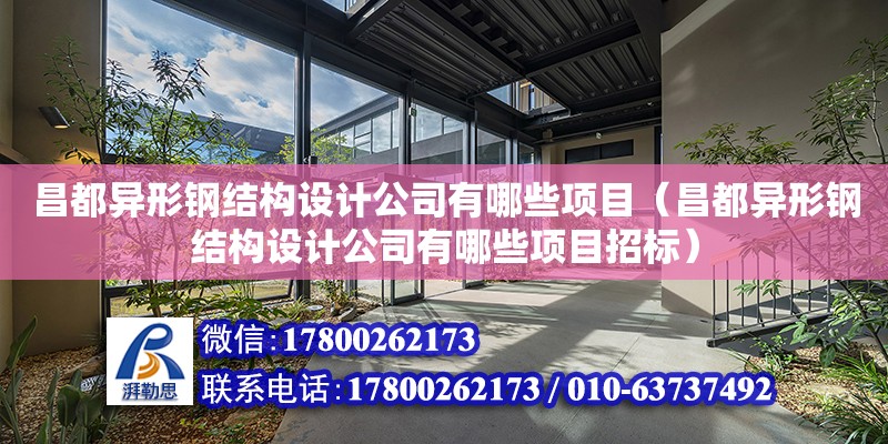 昌都異形鋼結構設計公司有哪些項目（昌都異形鋼結構設計公司有哪些項目招標）