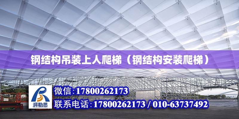 鋼結構吊裝上人爬梯（鋼結構安裝爬梯） 裝飾幕墻施工