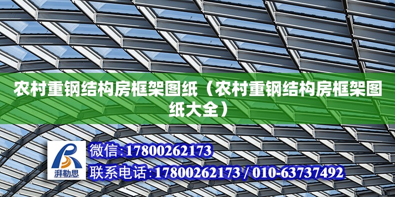 農村重鋼結構房框架圖紙（農村重鋼結構房框架圖紙大全） 鋼結構蹦極設計